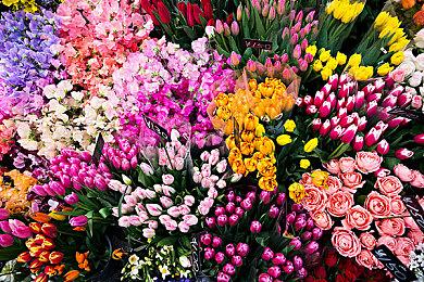 《赛博朋克2077：往日之影》新截图：狗镇中心