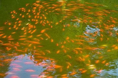 反乌托邦科幻心理恐怖游戏《超级幻想》现已上线Steam平台